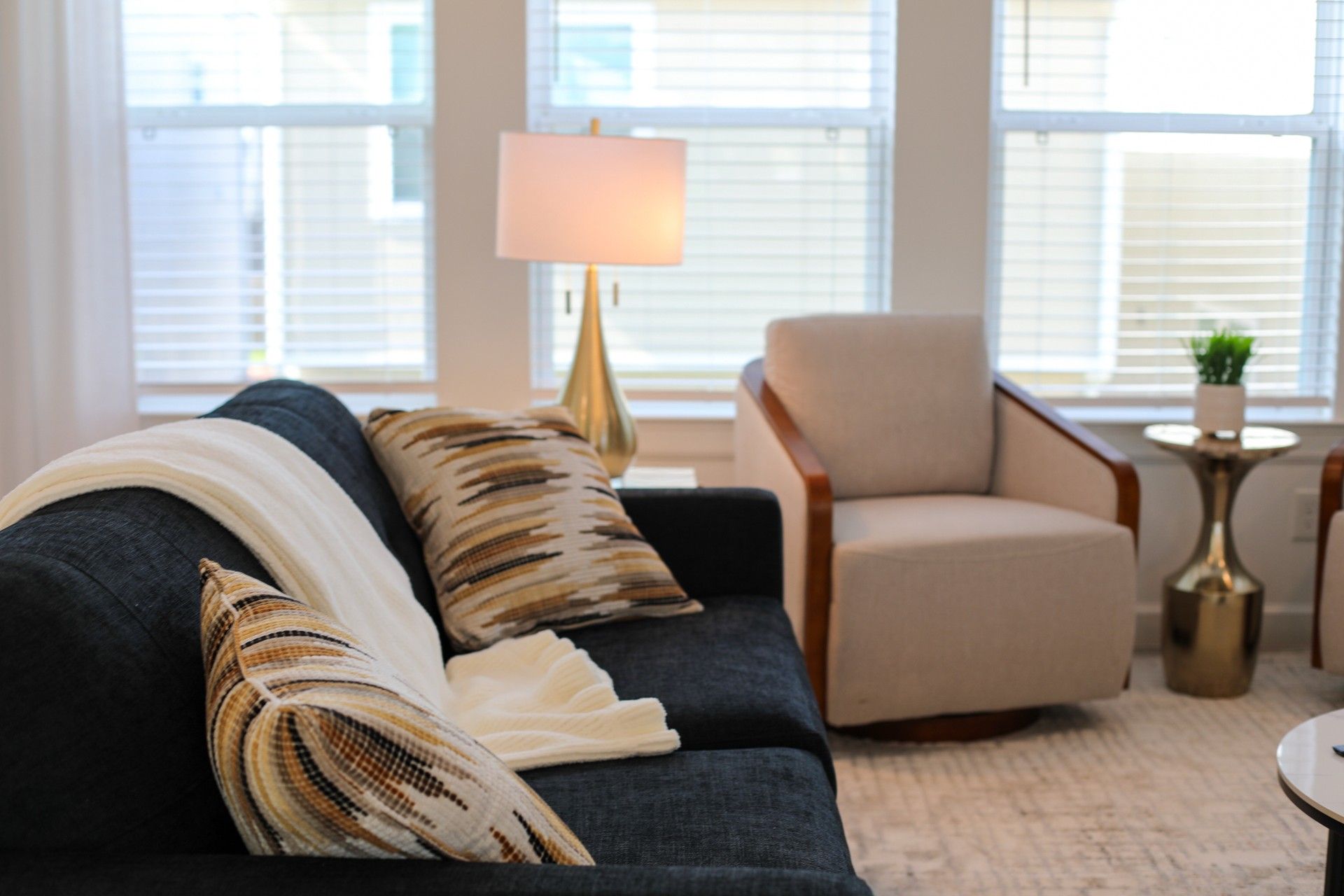 Cozy living room seating area